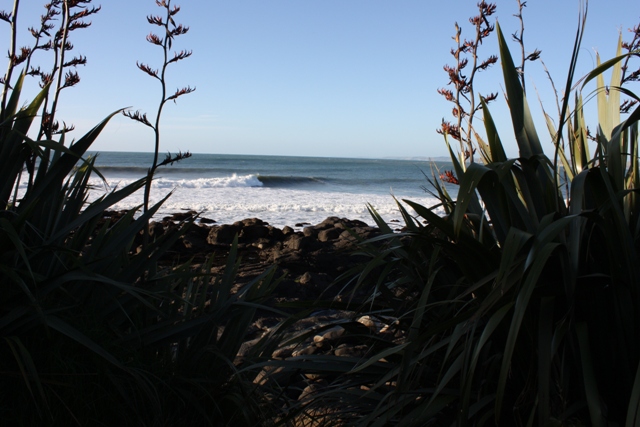 Whale Bay line up